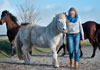 Aarden met paarden